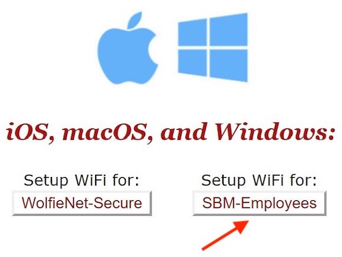 SBM-Employees-SecureW2-Windows-03.jpg