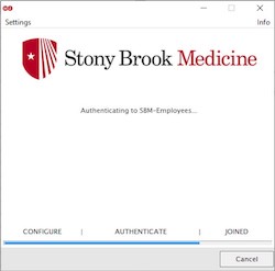 SBM-Employees-SecureW2-Windows-10a.jpg